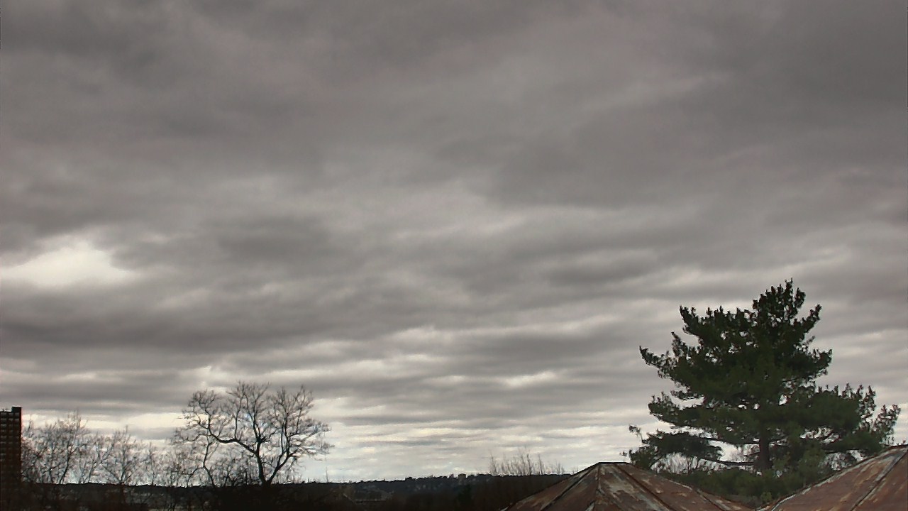 Thumbnail for current weather camera view from Benjamin Banneker Charter School in Cambridge, Massachusetts