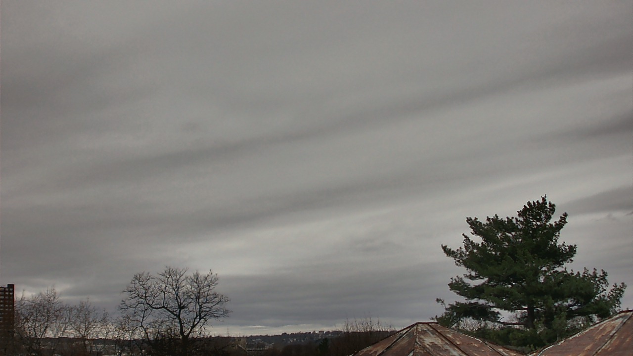 Thumbnail for current weather camera view from Benjamin Banneker Charter School in Cambridge, Massachusetts