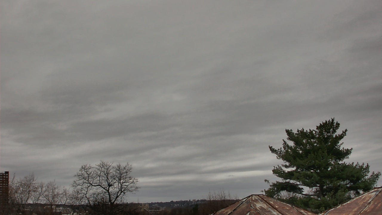 Thumbnail for current weather camera view from Benjamin Banneker Charter School in Cambridge, Massachusetts