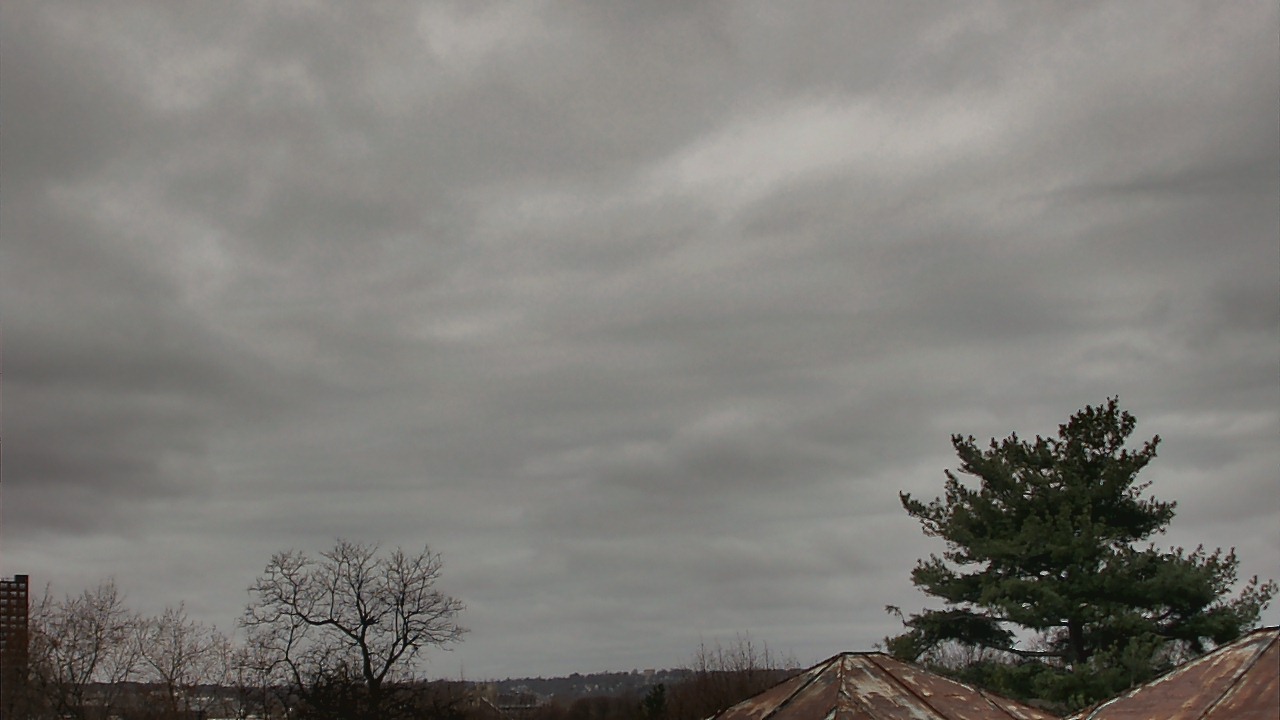 Thumbnail for current weather camera view from Benjamin Banneker Charter School in Cambridge, Massachusetts