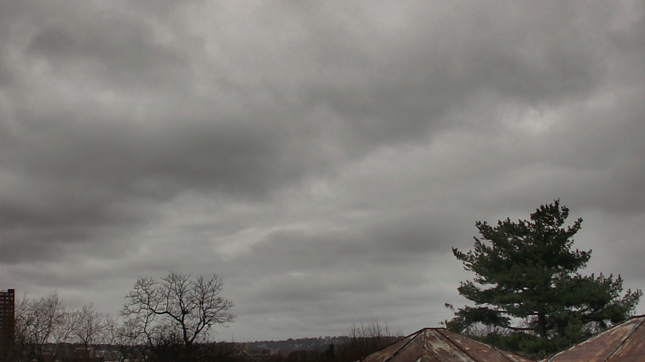 Thumbnail for current weather camera view from Benjamin Banneker Charter School in Cambridge, Massachusetts