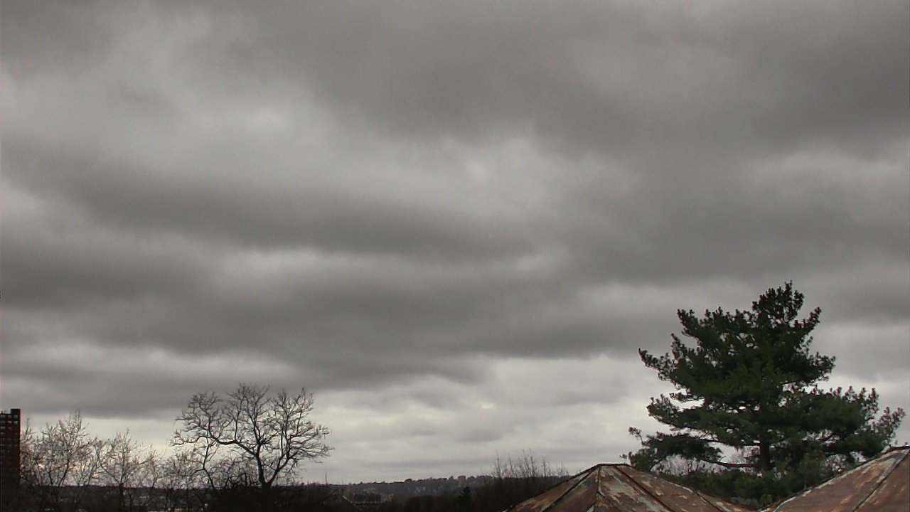 Thumbnail for current weather camera view from Benjamin Banneker Charter School in Cambridge, Massachusetts