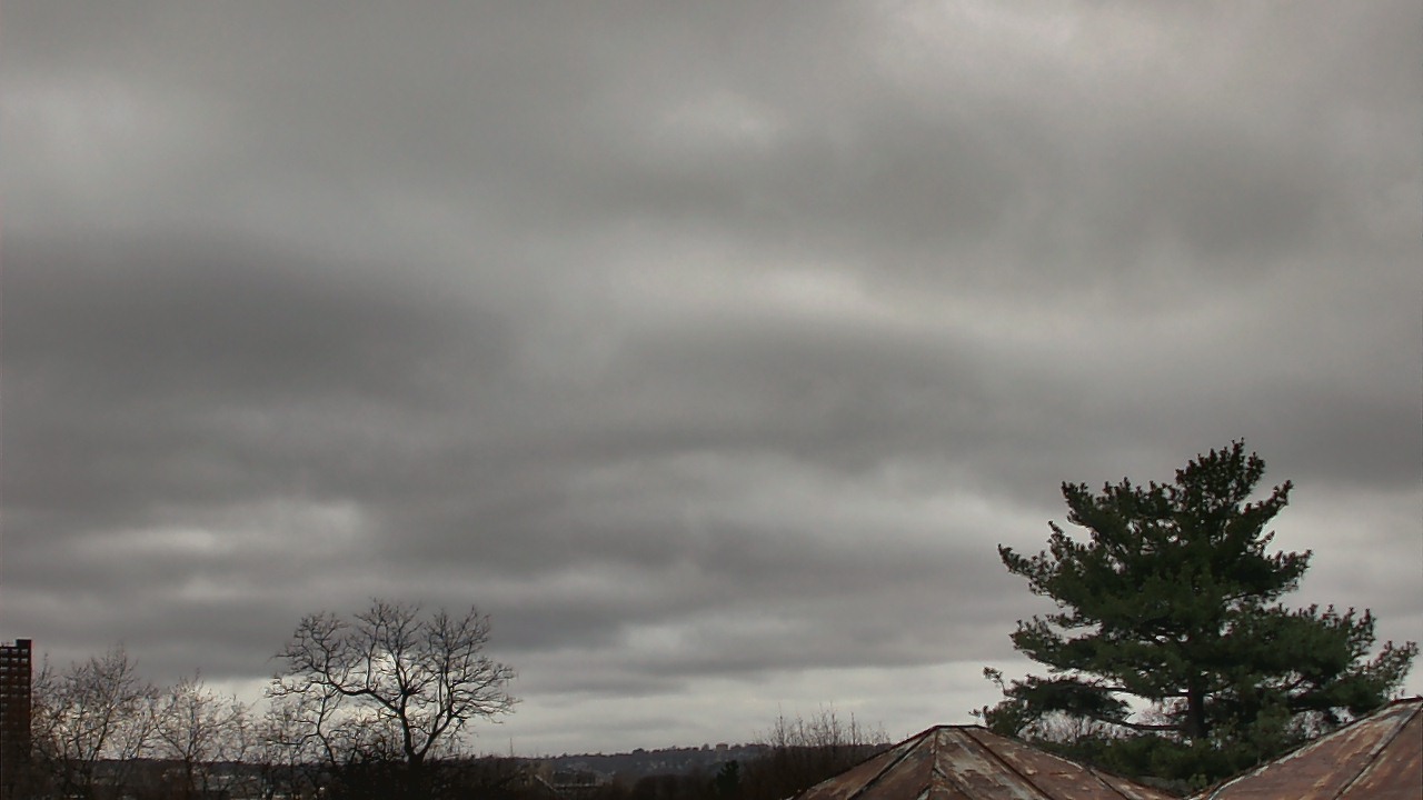 Thumbnail for current weather camera view from Benjamin Banneker Charter School in Cambridge, Massachusetts