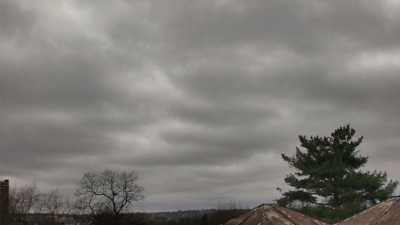 Thumbnail for current weather camera view from Benjamin Banneker Charter School in Cambridge, Massachusetts
