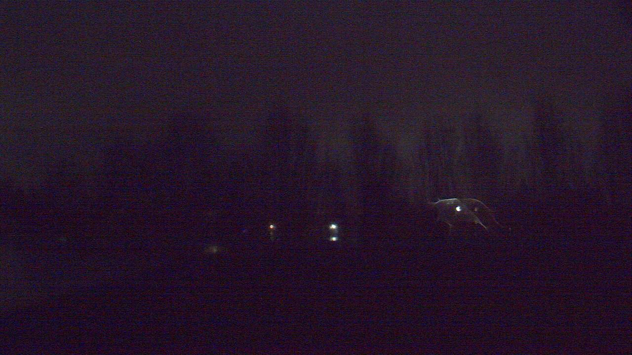 Thumbnail for current weather camera view from Hayes Freedom HS in Camas, Washington