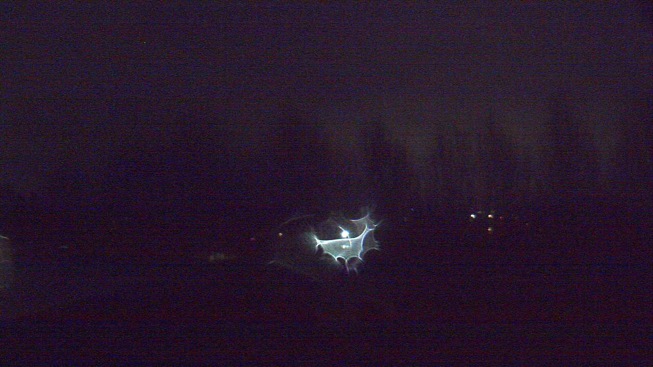 Thumbnail for current weather camera view from Hayes Freedom HS in Camas, Washington