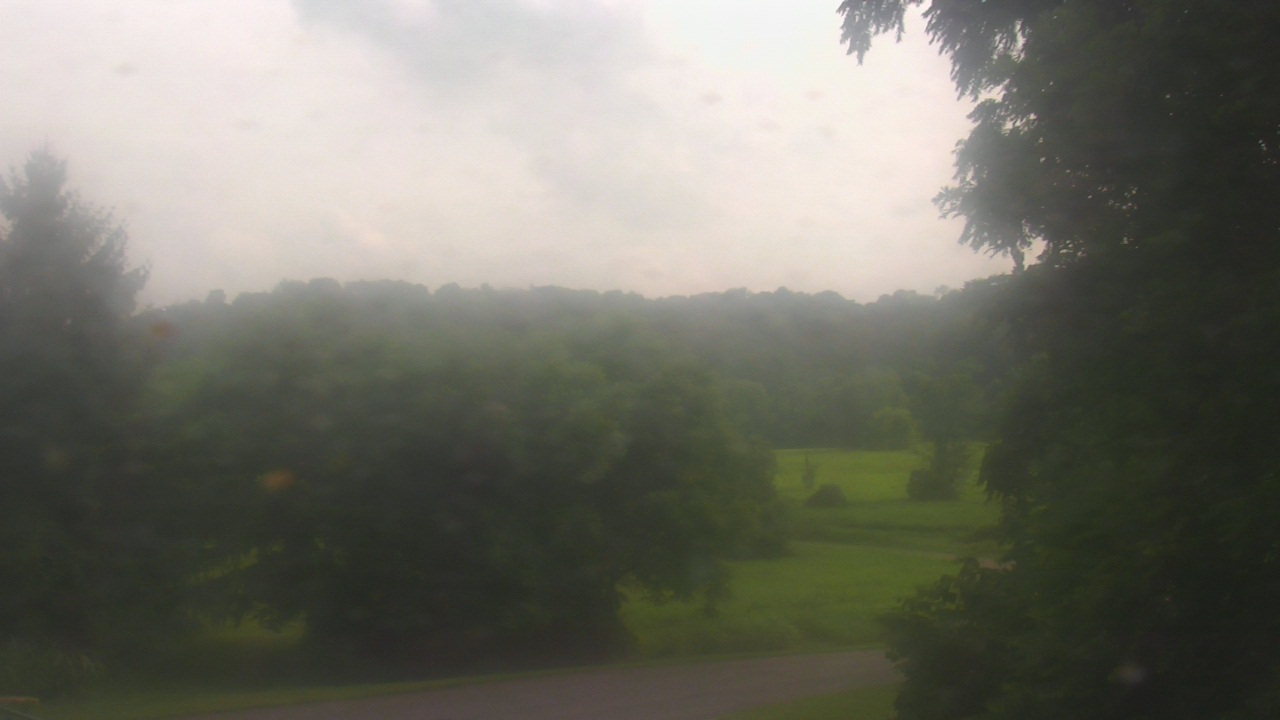 Thumbnail for current weather camera view from Chestnut Ridge Metro Park in Carroll, Ohio