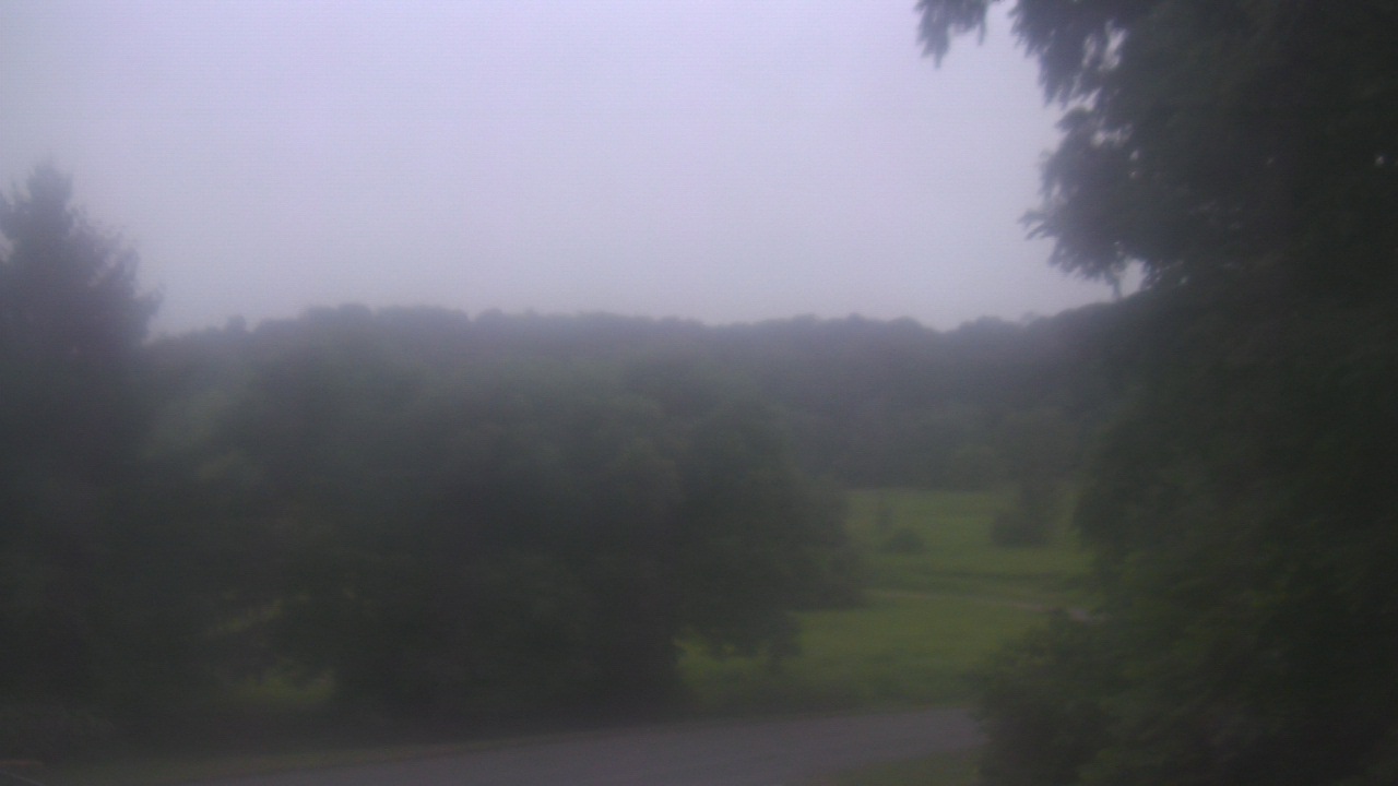 Thumbnail for current weather camera view from Chestnut Ridge Metro Park in Carroll, Ohio