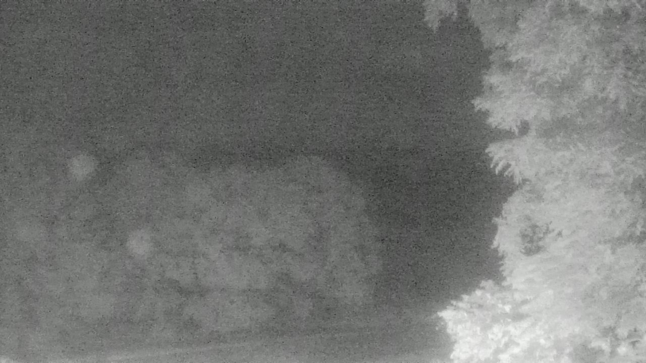 Thumbnail for current weather camera view from Chestnut Ridge Metro Park in Carroll, Ohio