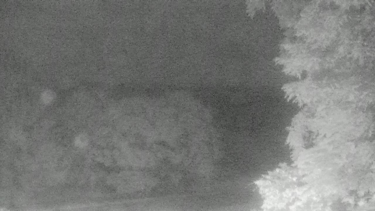 Thumbnail for current weather camera view from Chestnut Ridge Metro Park in Carroll, Ohio