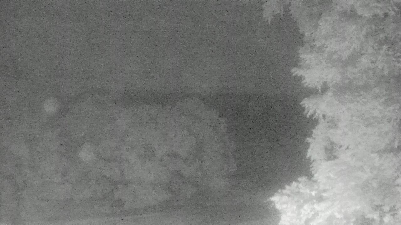 Thumbnail for current weather camera view from Chestnut Ridge Metro Park in Carroll, Ohio