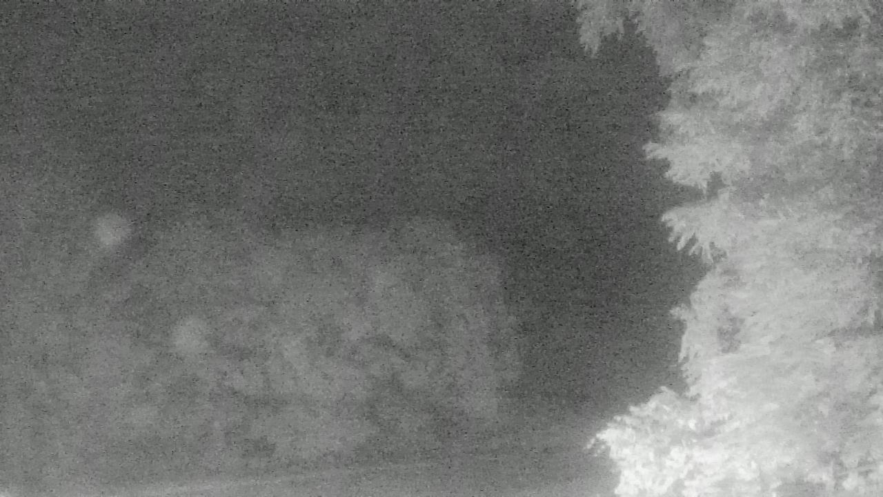 Thumbnail for current weather camera view from Chestnut Ridge Metro Park in Carroll, Ohio