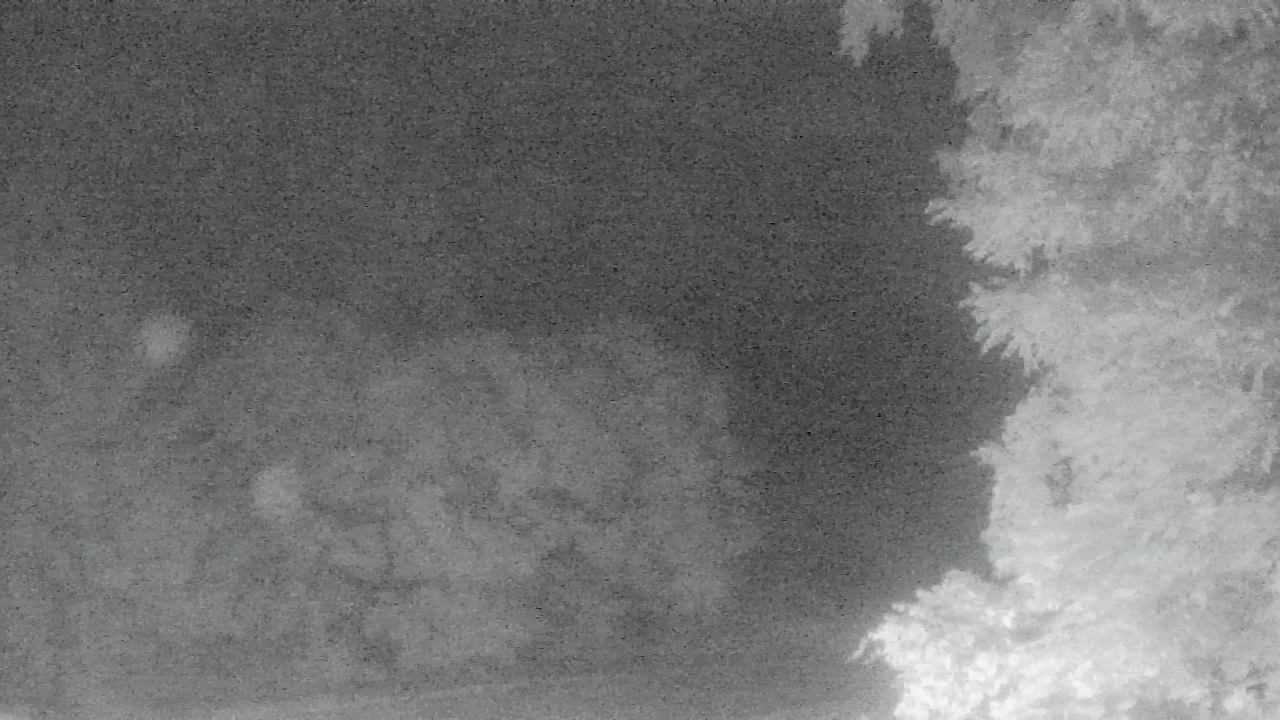 Thumbnail for current weather camera view from Chestnut Ridge Metro Park in Carroll, Ohio
