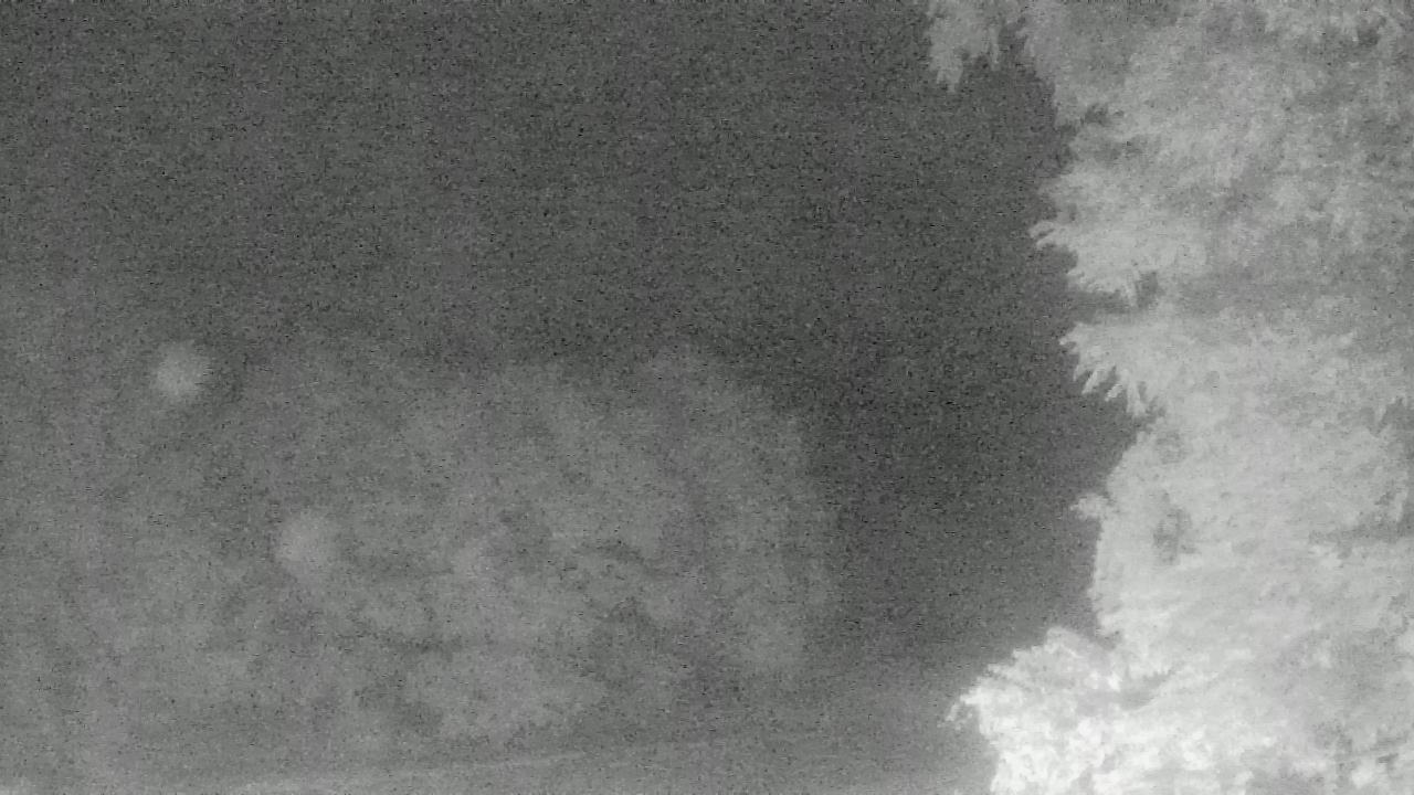 Thumbnail for current weather camera view from Chestnut Ridge Metro Park in Carroll, Ohio