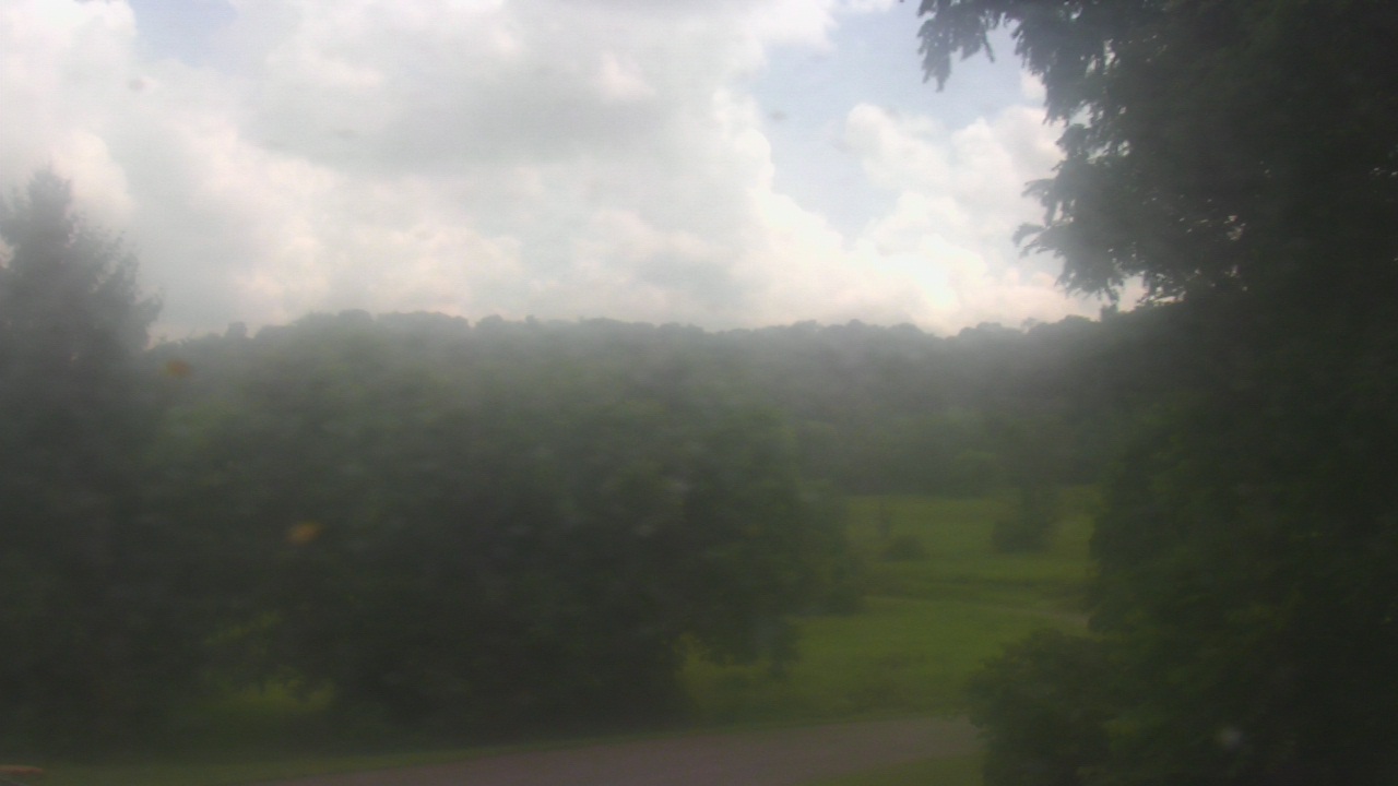 Thumbnail for current weather camera view from Chestnut Ridge Metro Park in Carroll, Ohio
