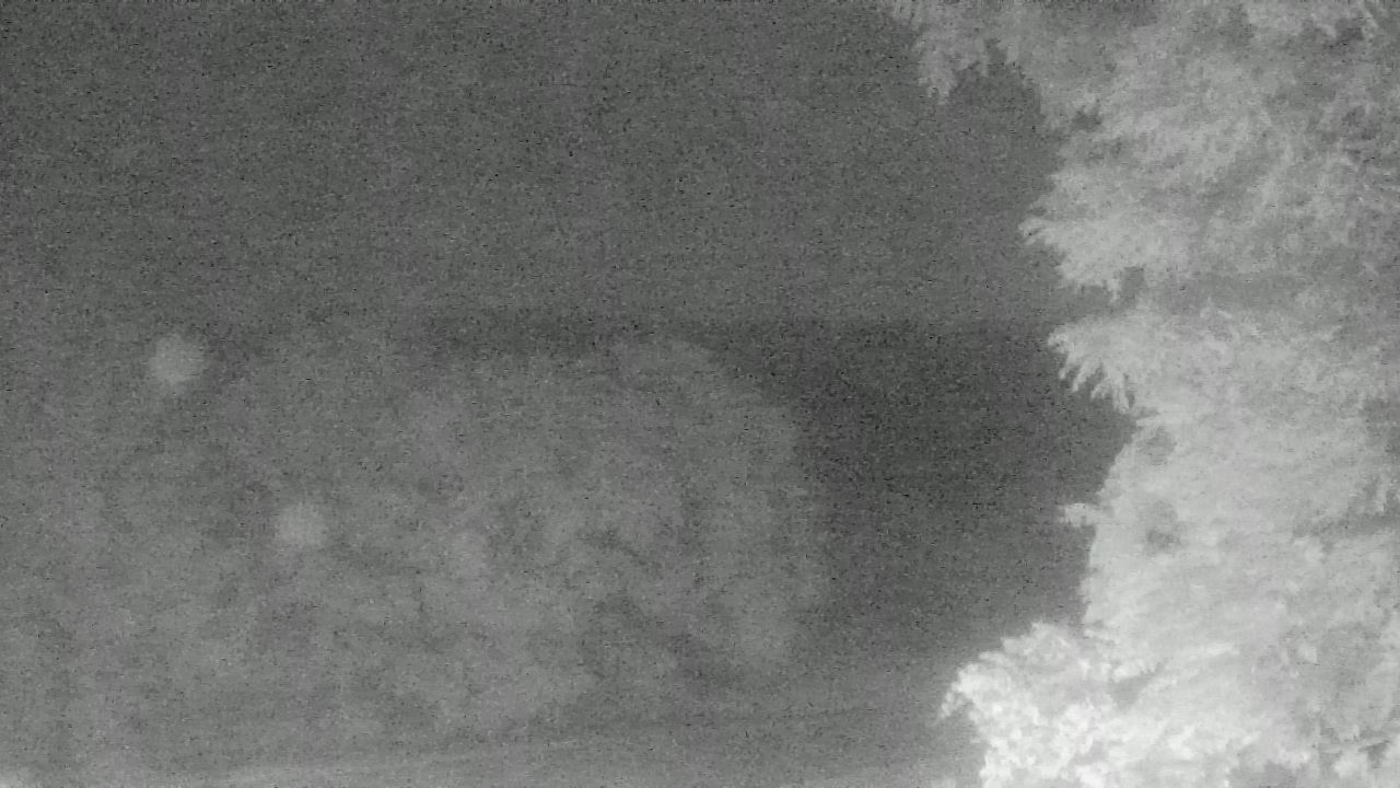 Thumbnail for current weather camera view from Chestnut Ridge Metro Park in Carroll, Ohio
