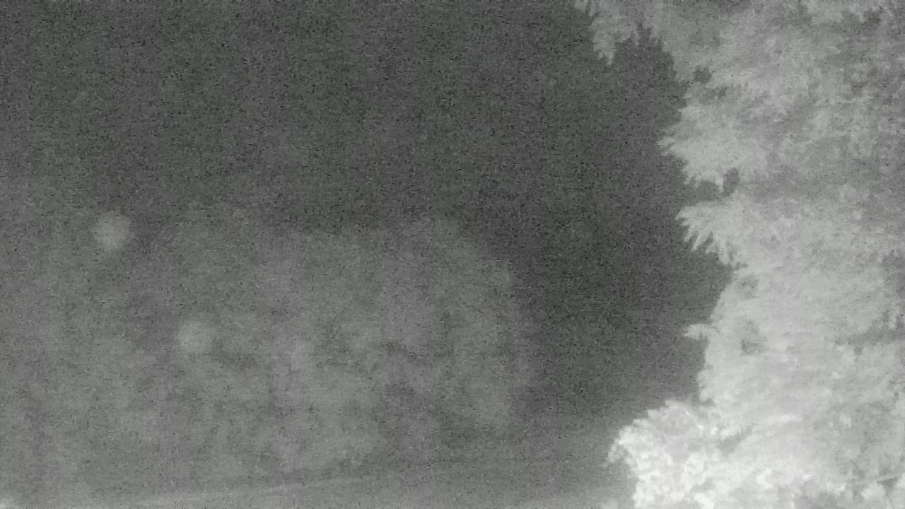 Thumbnail for current weather camera view from Chestnut Ridge Metro Park in Carroll, Ohio