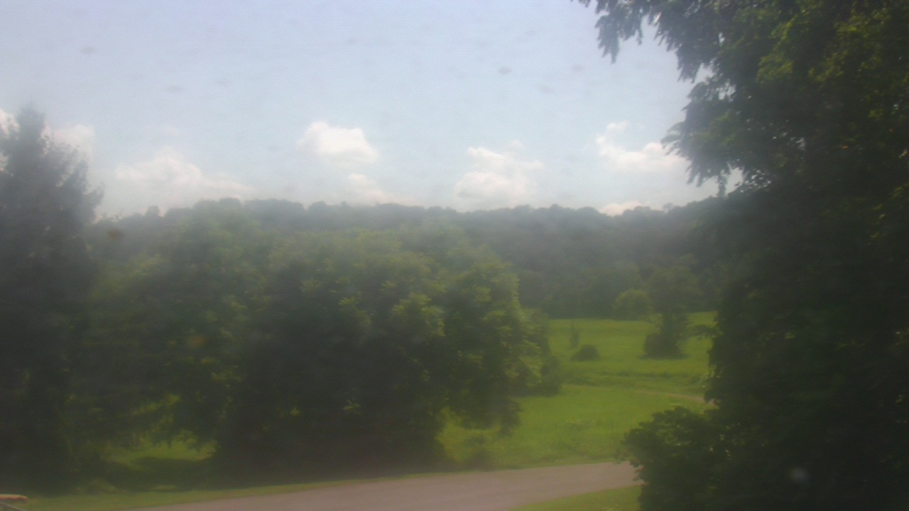 Thumbnail for current weather camera view from Chestnut Ridge Metro Park in Carroll, Ohio