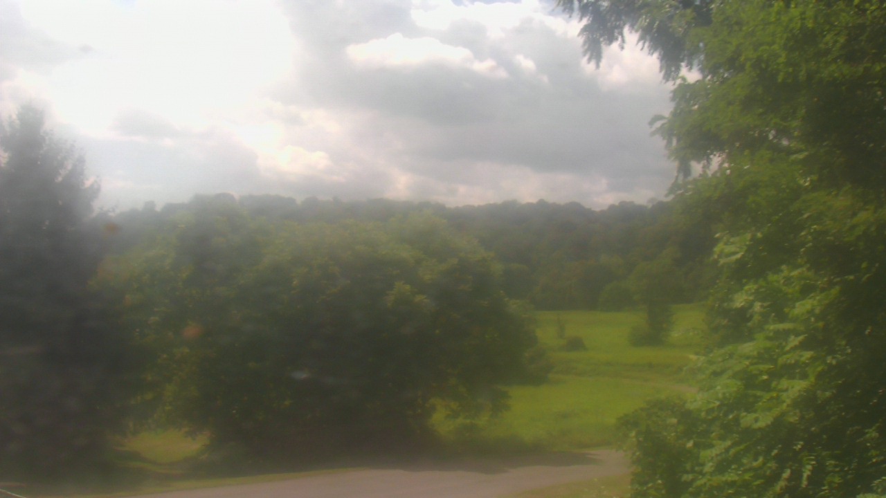 Thumbnail for current weather camera view from Chestnut Ridge Metro Park in Carroll, Ohio