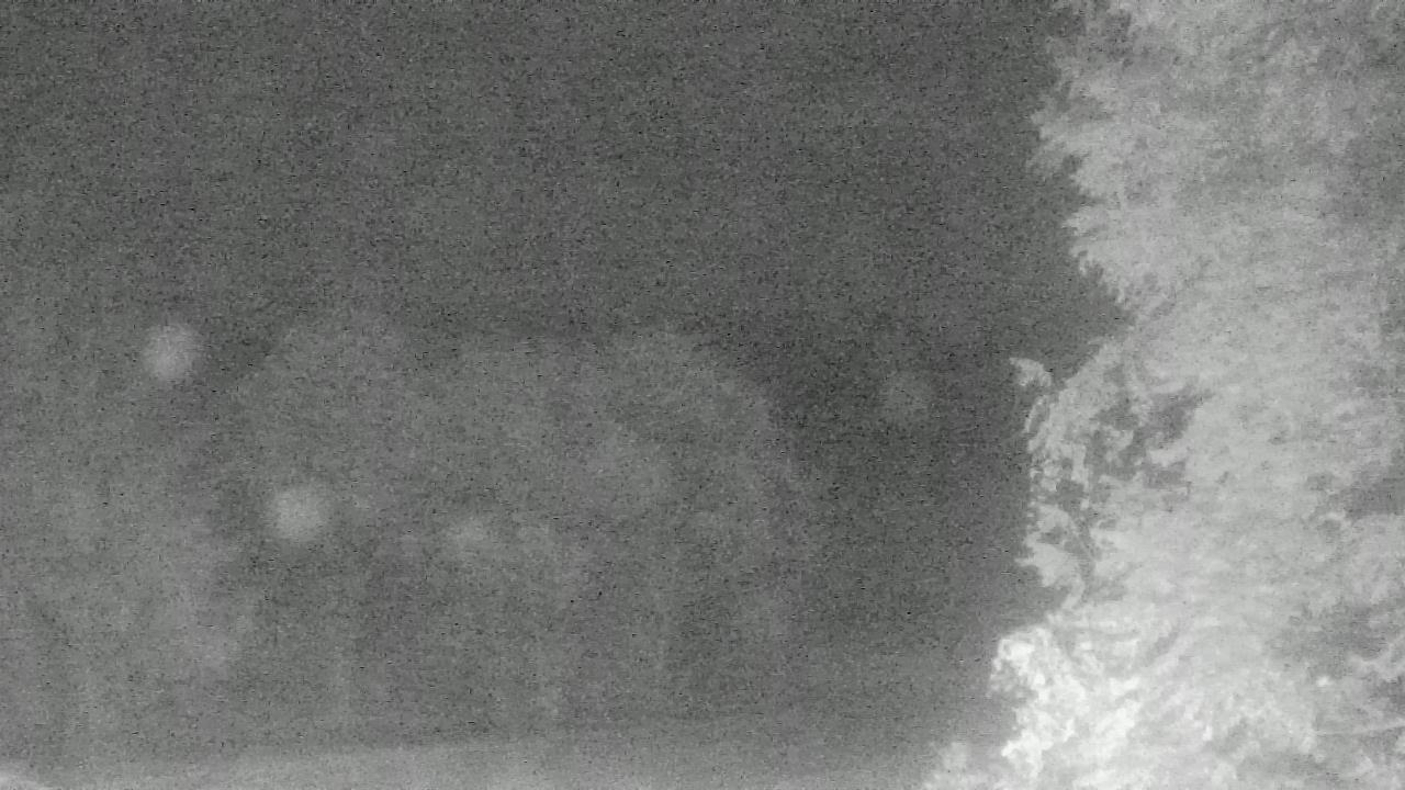 Thumbnail for current weather camera view from Chestnut Ridge Metro Park in Carroll, Ohio