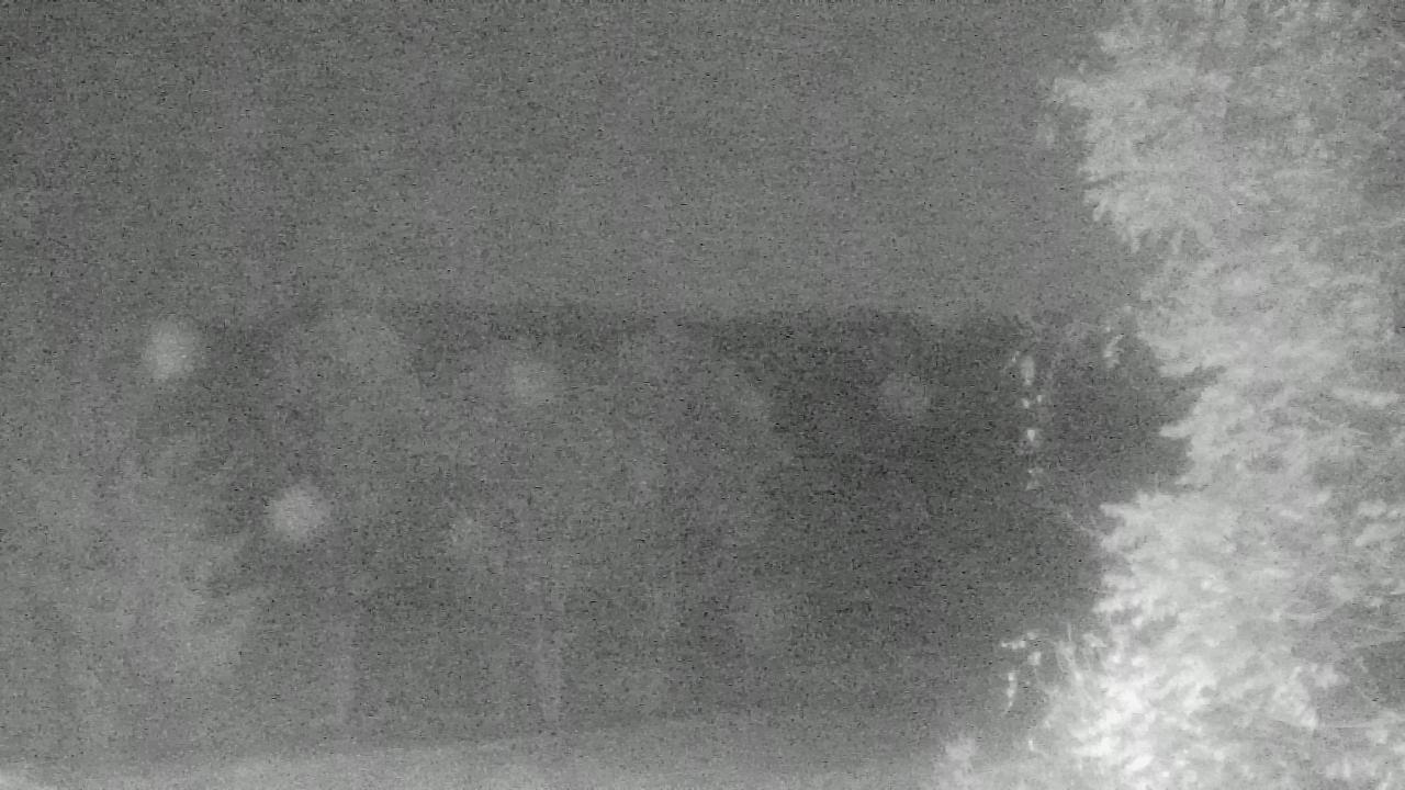 Thumbnail for current weather camera view from Chestnut Ridge Metro Park in Carroll, Ohio