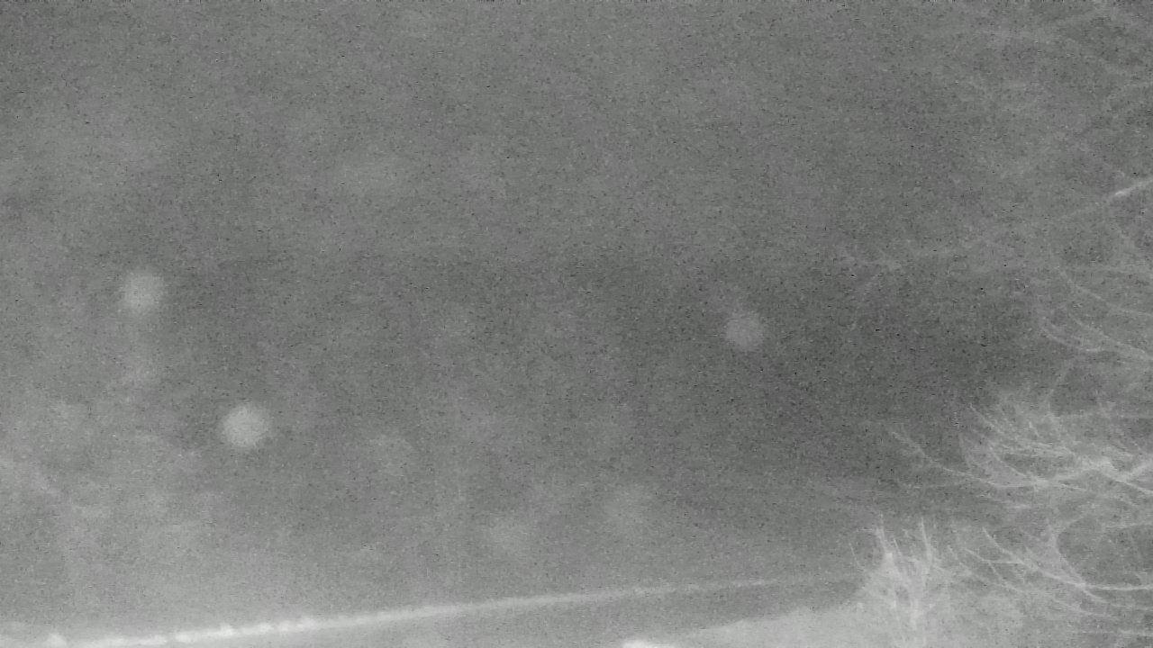 Thumbnail for current weather camera view from Chestnut Ridge Metro Park in Carroll, Ohio