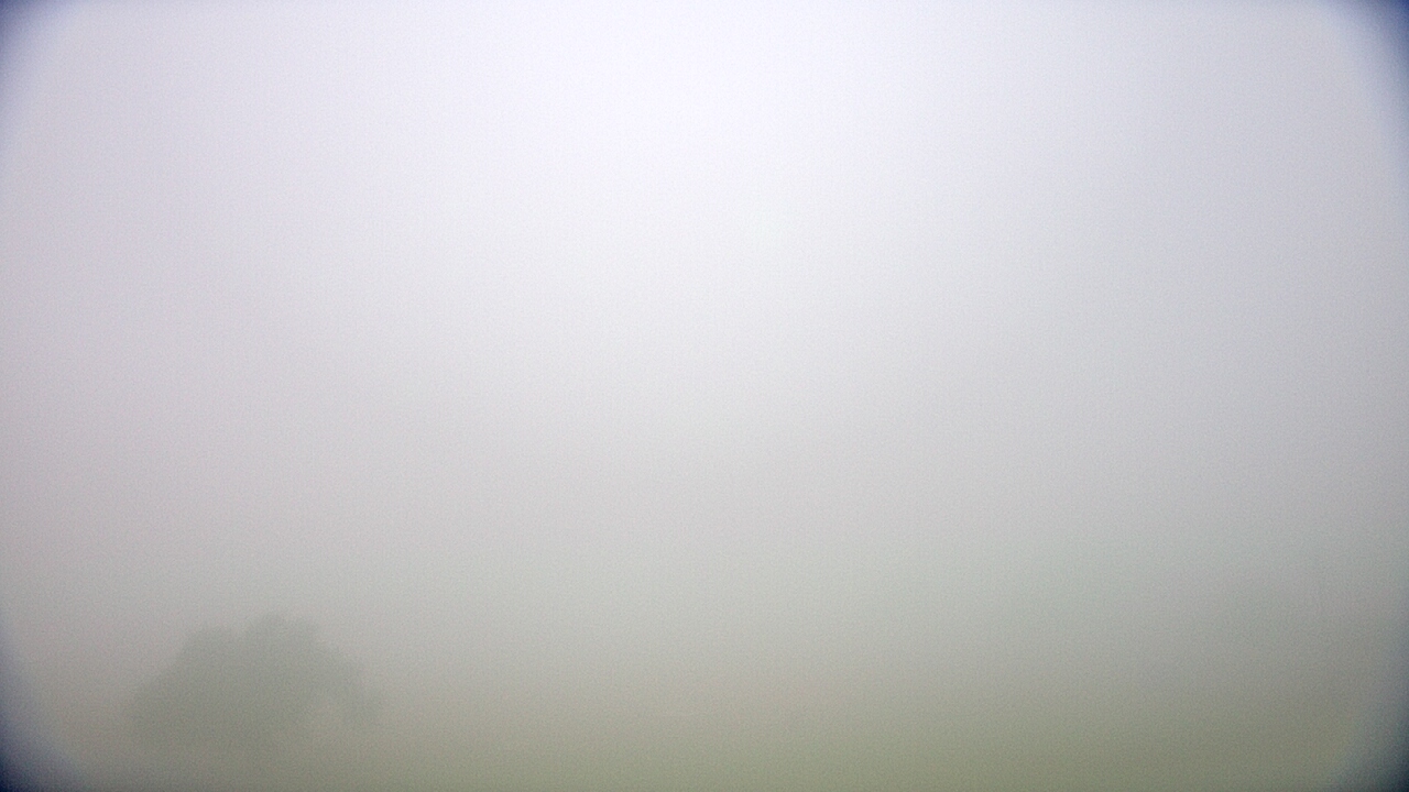 Thumbnail for current weather camera view from Cuero ISD in Cuero, Texas