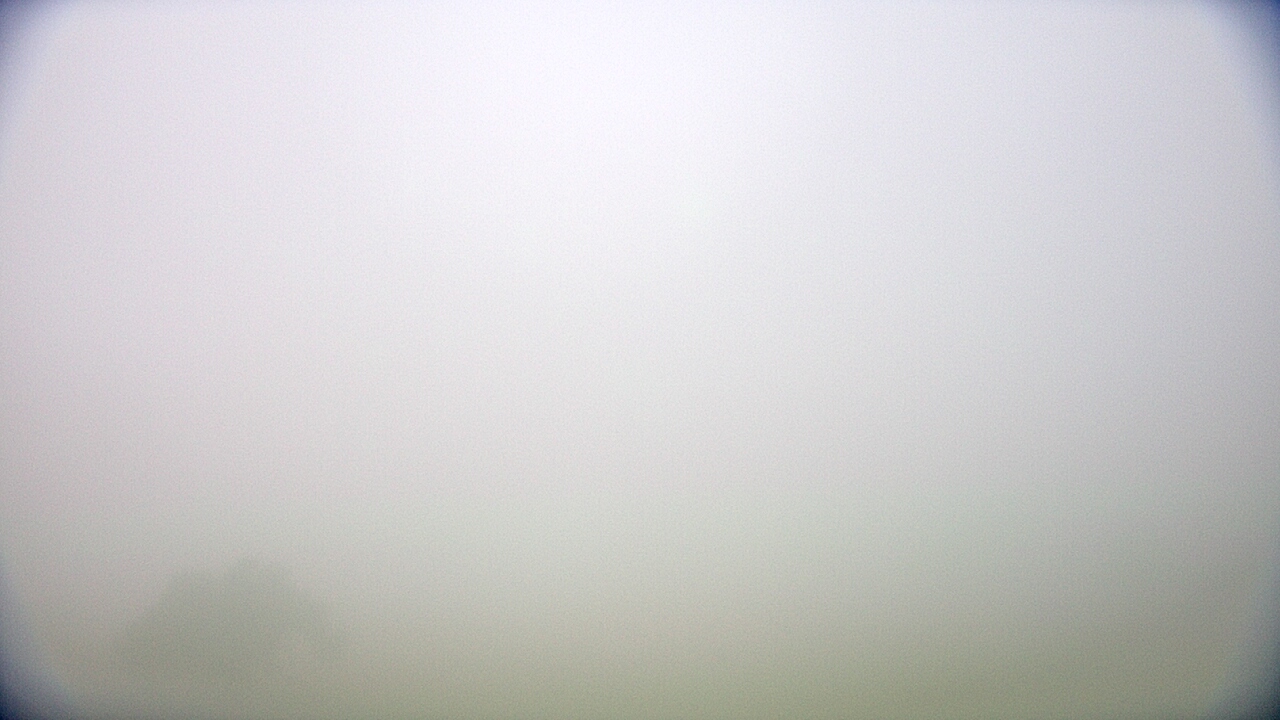 Thumbnail for current weather camera view from Cuero ISD in Cuero, Texas