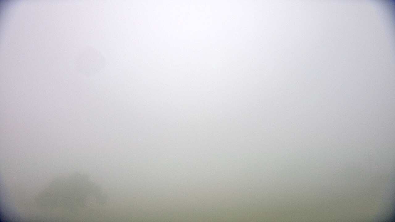 Thumbnail for current weather camera view from Cuero ISD in Cuero, Texas