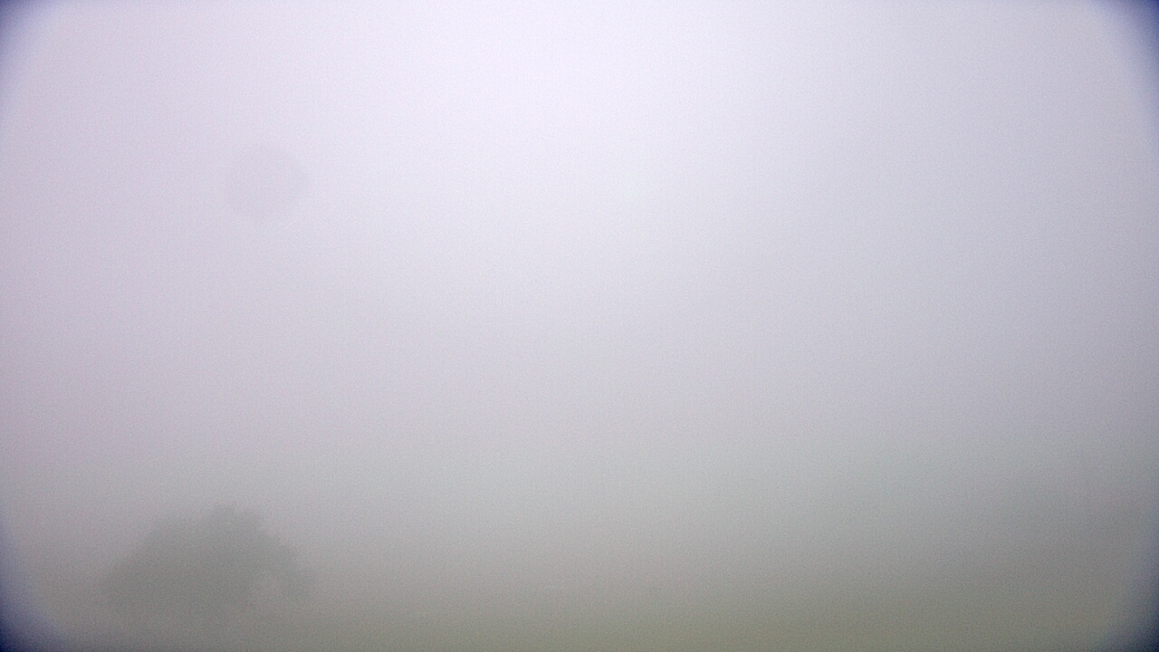 Thumbnail for current weather camera view from Cuero ISD in Cuero, Texas