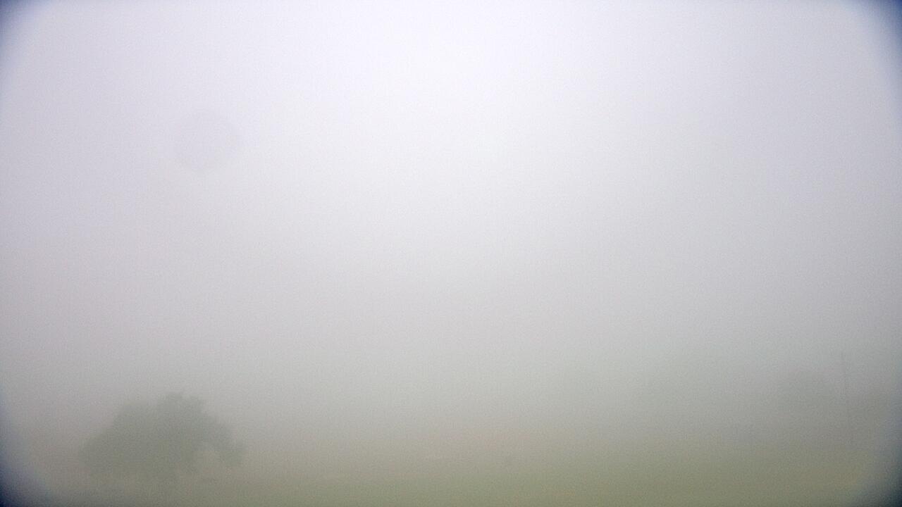 Thumbnail for current weather camera view from Cuero ISD in Cuero, Texas