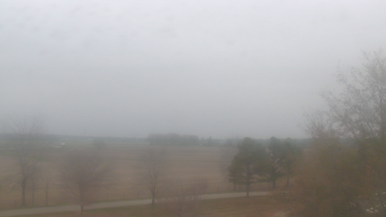 Thumbnail for current weather camera view from Walkers Bluff in Cambria, Illinois