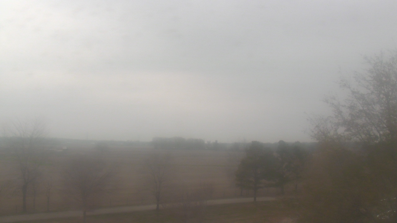 Thumbnail for current weather camera view from Walkers Bluff in Cambria, Illinois