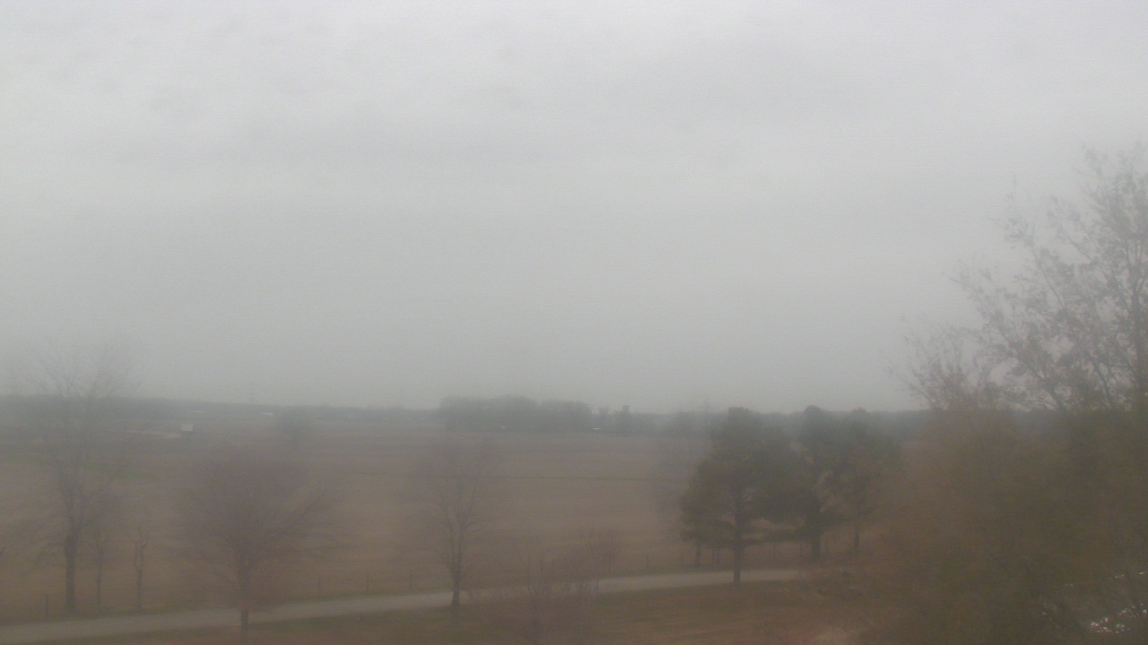 Thumbnail for current weather camera view from Walkers Bluff in Cambria, Illinois