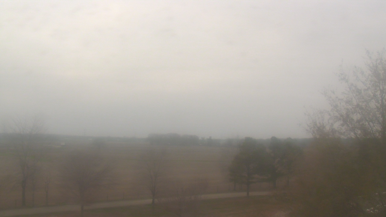 Thumbnail for current weather camera view from Walkers Bluff in Cambria, Illinois