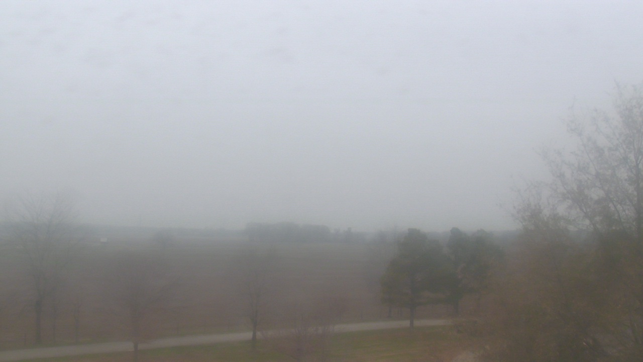 Thumbnail for current weather camera view from Walkers Bluff in Cambria, Illinois