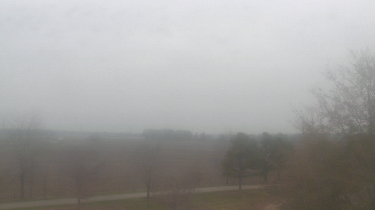 Thumbnail for current weather camera view from Walkers Bluff in Cambria, Illinois