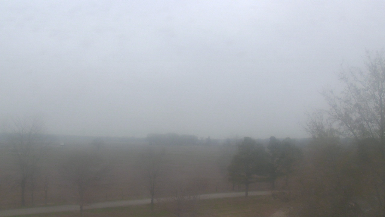 Thumbnail for current weather camera view from Walkers Bluff in Cambria, Illinois