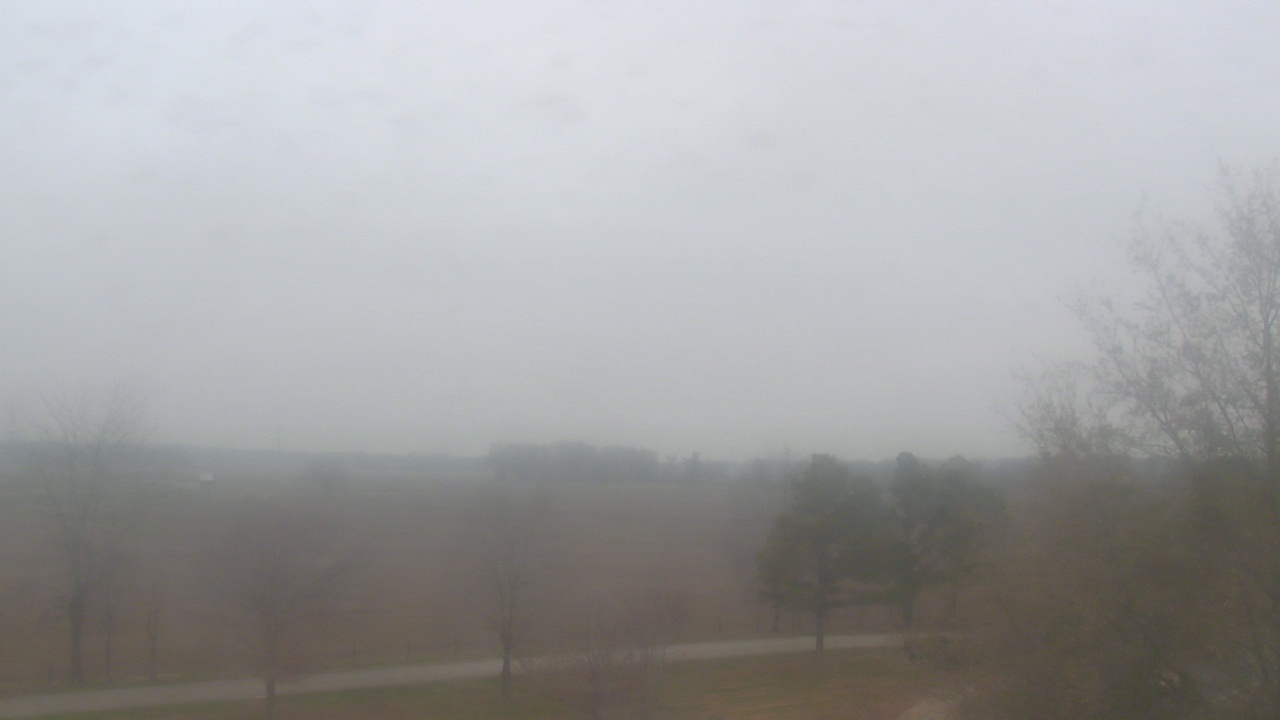 Thumbnail for current weather camera view from Walkers Bluff in Cambria, Illinois