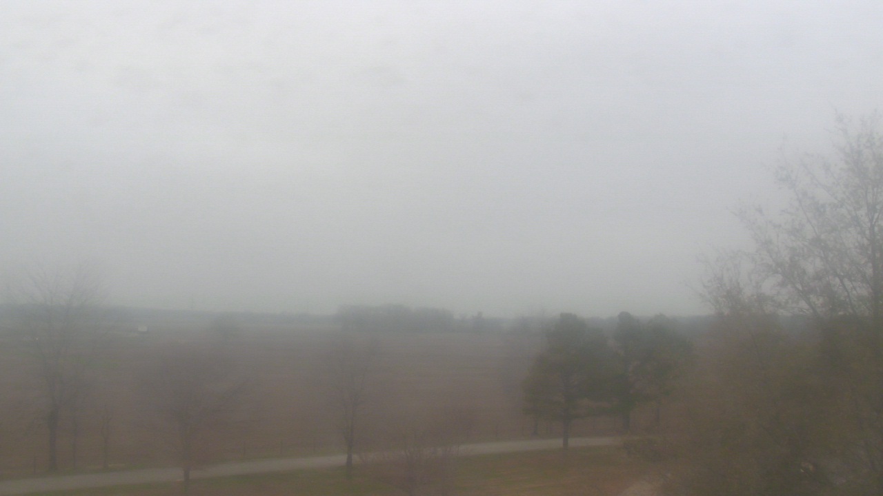 Thumbnail for current weather camera view from Walkers Bluff in Cambria, Illinois