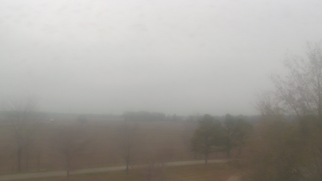 Thumbnail for current weather camera view from Walkers Bluff in Cambria, Illinois
