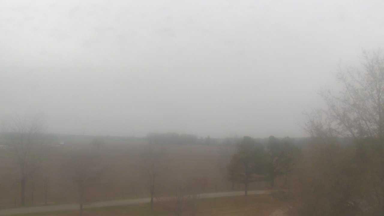 Thumbnail for current weather camera view from Walkers Bluff in Cambria, Illinois