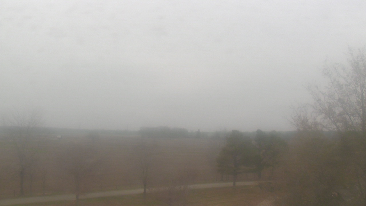 Thumbnail for current weather camera view from Walkers Bluff in Cambria, Illinois