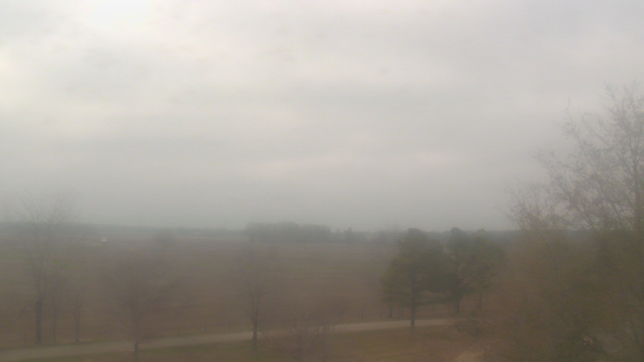 Thumbnail for current weather camera view from Walkers Bluff in Cambria, Illinois