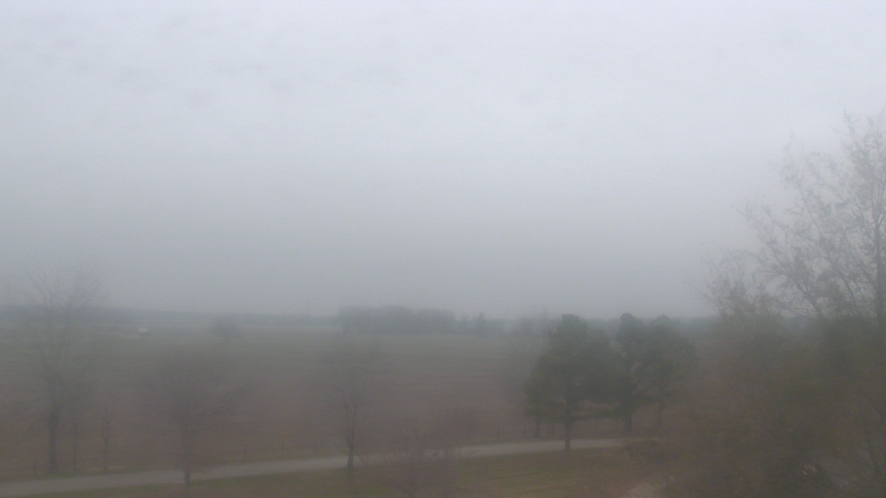 Thumbnail for current weather camera view from Walkers Bluff in Cambria, Illinois