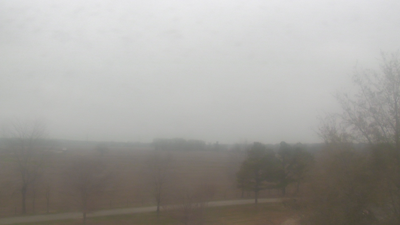 Thumbnail for current weather camera view from Walkers Bluff in Cambria, Illinois