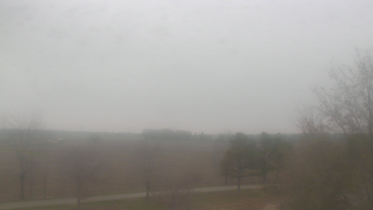 Thumbnail for current weather camera view from Walkers Bluff in Cambria, Illinois