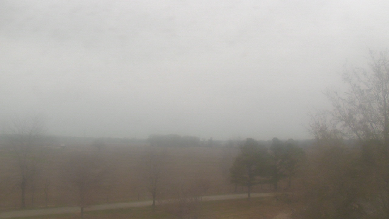 Thumbnail for current weather camera view from Walkers Bluff in Cambria, Illinois