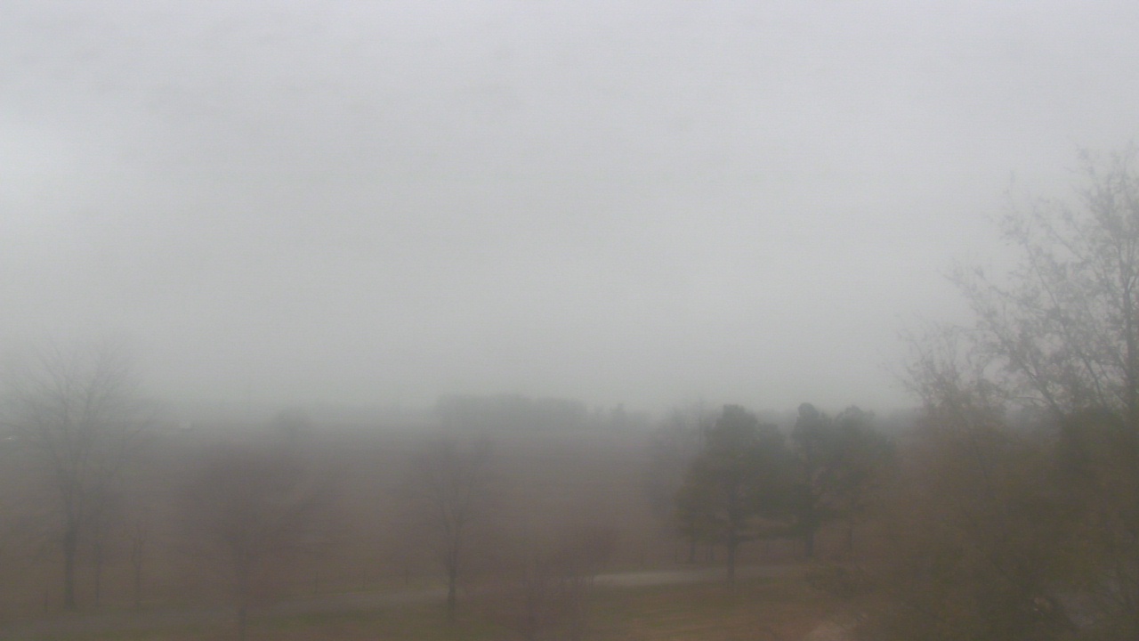 Thumbnail for current weather camera view from Walkers Bluff in Cambria, Illinois