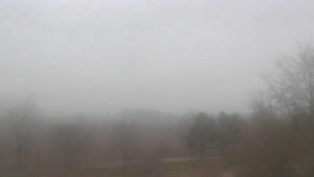 Thumbnail for current weather camera view from Walkers Bluff in Cambria, Illinois